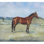 V Daventry, oil on canvas, horse portrait, signed, 16" x 20", framed