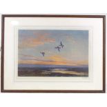 Sir Peter Scott, 4 colour prints, wild birds, signed in pencil, image 14" x 21", framed (4)