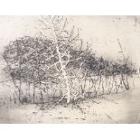 Ann Robertson (Canadian), etching, woodland scene Quebec, signed in ink, plate size 11" x 14", and