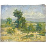 Early 20th century oil on canvas, impressionist landscape, unsigned, 11" x 14", unframed