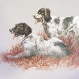 Spencer Roberts, 2 colour prints, Springer Spaniels, signed in pencil, from an edition of 500, sheet