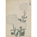 Japanese School, 2 early 20th century colour woodblock prints, botanical studies, 11" x 8", framed