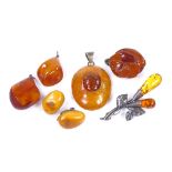 Various Baltic amber jewellery, including pendants, brooches and earrings