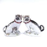 A pair of porcelain Pug dogs, height 19cm