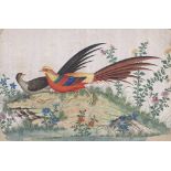 19th century Chinese School, watercolour, study of pheasant, 8" x 11", framed