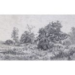 2 19th century pencil drawings, tree studies, 5.5" x 8", framed (2)