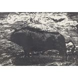 Lithograph, study of a bull, indistinctly signed, 1952, no. 9/10, image 10.5" x 15", framed