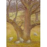 Jean Blair, oil on board, sheep by a tree, 1951, 16" x 11.5", and 2 other oils on canvas by