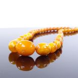 A single stand of graduated polished butterscotch amber beads, largest bead length 20.5mm,