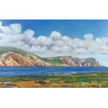 Tom Smith, oil on canvas, coastal cliffs, signed, 20" x 30", framed