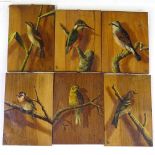 A set of 6 oils on walnut panels, studies of garden birds, signed with monograms, 10" x 6.5",