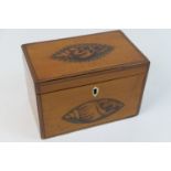 George III satinwood and inlaid tea caddy, circa 1785, rectangular form, the lid inlaid with conch