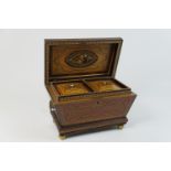 Good satinwood and marquetry tea caddy, early 19th Century, sarcophagus form, the cover inset with a