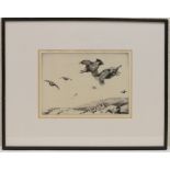 Winifred Marie Louise Austen (1876-1964), Red grouse over moorland, drypoint etching, signed in