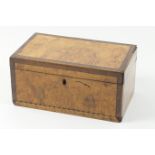 Beekeeping interest: Late Georgian satin birch and walnut tea caddy, circa 1820, detailed to the
