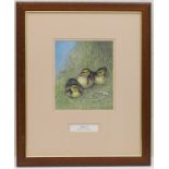 Eric Peake (b.1940), Fluffy trio, mallard ducklings, watercolour, signed and titled, dated 1986,