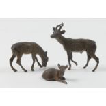 Austrian cold painted bronze deer family, circa 1900, comprising stag, doe and fawn, the stag 6cm (