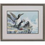 Frederick J Watson (Contemporary), Puffins and Guillemot, watercolour, signed, dated verso 1992,