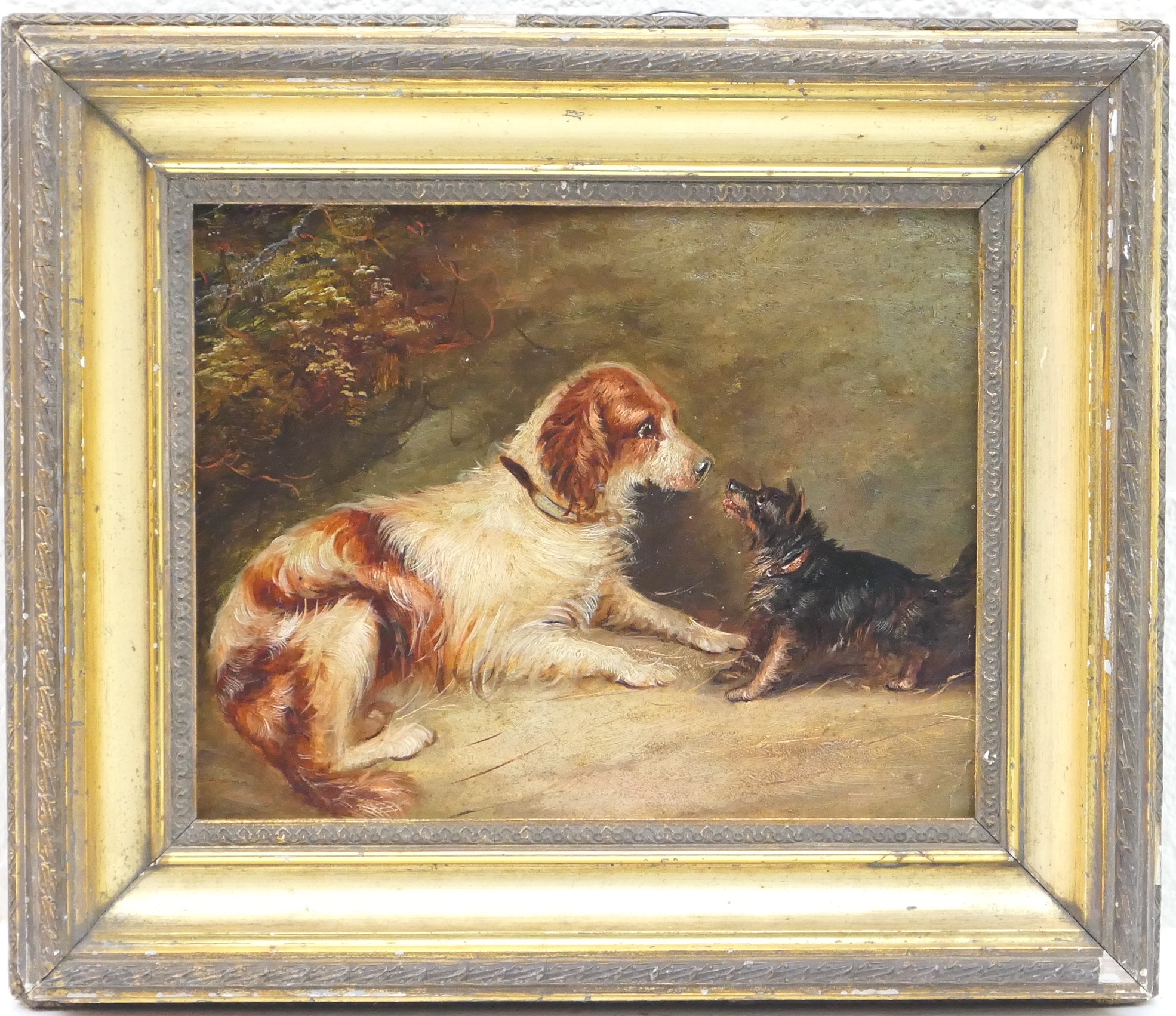 Manner of George Armfield (1808-93), A not so friendly encounter, study of dogs, oil on mill