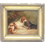 Manner of George Armfield (1808-93), A not so friendly encounter, study of dogs, oil on mill