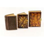 Victorian fern ware photograph album, with brass clasp; also a fern ware book cover titled 'The