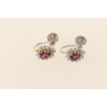 Pair of Almandine garnet and diamond cluster earrings, the central cut garnet surrounded by twelve