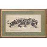 Herbert Dicksee (1862-1942), Prowling leopard, drypoint etching, dated 1922, signed in pencil,