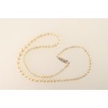 Cultured pearl graduated choker necklace, the pearls 3-7mm diameter, united with a 9ct white gold