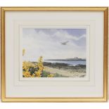 Owen Williams (b.1956), Lone Curlew over coastal gorse, watercolour, signed and dated 1995, 21cm x