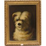 Manner of George Armfield (1808-93), Study of a terrier, oil on canvas, 23cm x 17cm