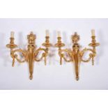 A Pair of Two-light Wall Sconces, Louis XVI style, chiselled and gilt bronze "Amphora, ram head
