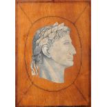 Roman Emperors, a pair of paintings on two panels, Italian school, 19th C., Dim. - 53,2 x 38,3 cm- -