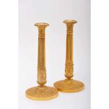 A Pair of Large Candlesticks, Empire style, chiselled and gilt bronze "Fruits and leaves",