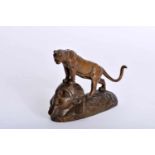 A Tiger, patinated bronze sculpture, French, 19th C. (late), signed C. MASSON (probably Clovis