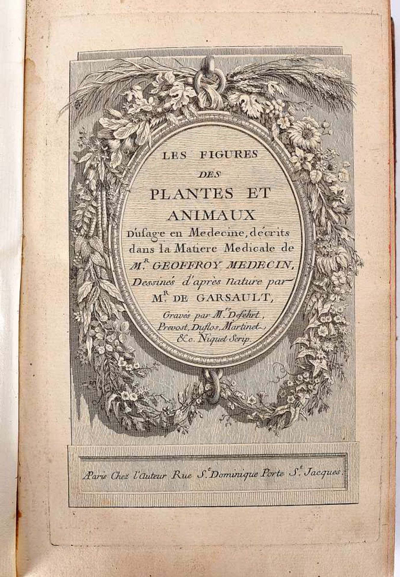 Description de sept cents dix-neuf plantes, de Geoffroy, 1767, GEOFFROY, François Alexandre.- - Bild 2 aus 3