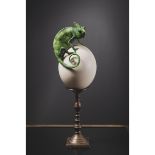 Male Calyptratus Chameleon on ostrich egg brass stand - cm 45x15x15 -