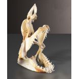 Mako shark skull preparation - cm 52,5x32 Isurus oxyrinchus Indonesia -