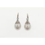 Pair of cultured pearl and diamond earrings - montatura in oro bianco 750/1000 -