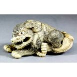 A Japanese carved ivory netsuke of a seated Shishi with open mouth, 1ins (2.6cm) high x 2.375 (