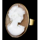 A modern gold coloured metal mounted cameo ring, the cameo 25mm x 18mm (size Q - gross weight 7