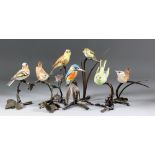 Seven Albany bone china British bird models on bronzed metal naturalistic bases, including - black