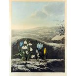 William Ward (1766-1826) after Abraham Pether (1756-1812) - Coloured aquatint - "The Snowdrop",