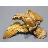 A Continental carved and gilded eagle with outstretched wings, 23ins x 30.5ins overall