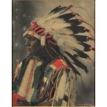 Frank A. Rinehart (1861-1928) - Hand tinted photographic print - "Chief Hollow Horn Bear (Sioux)",