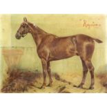 George Paice (1854-1925) - Oil painting - "Royston II" - Portrait of a horse in stable, canvas