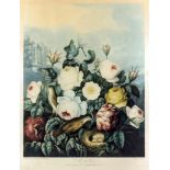 Richard Earlom (1743-1822) after Robert John Thornton (1768-1837) - Coloured aquatint - "Roses",