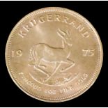 A South African 1975 Krugerrand (VF - with slight edge knocks)
