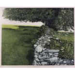 ***Phil Greenwood (born 1943) - Three limited edition aquatint etchings - "Heath Trees", 16.75ins