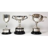 A George V silver two-handled prize cup - "St. Peter's and Broadstairs Horticultural Society Sweet