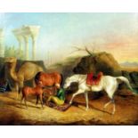 Manner of George Stubbs (1724-1806) - Oil painting - Middle Eastern camp with classical ruins,